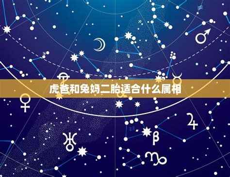 狗和兔|兔和狗属相合不合 属狗和属兔的合不合